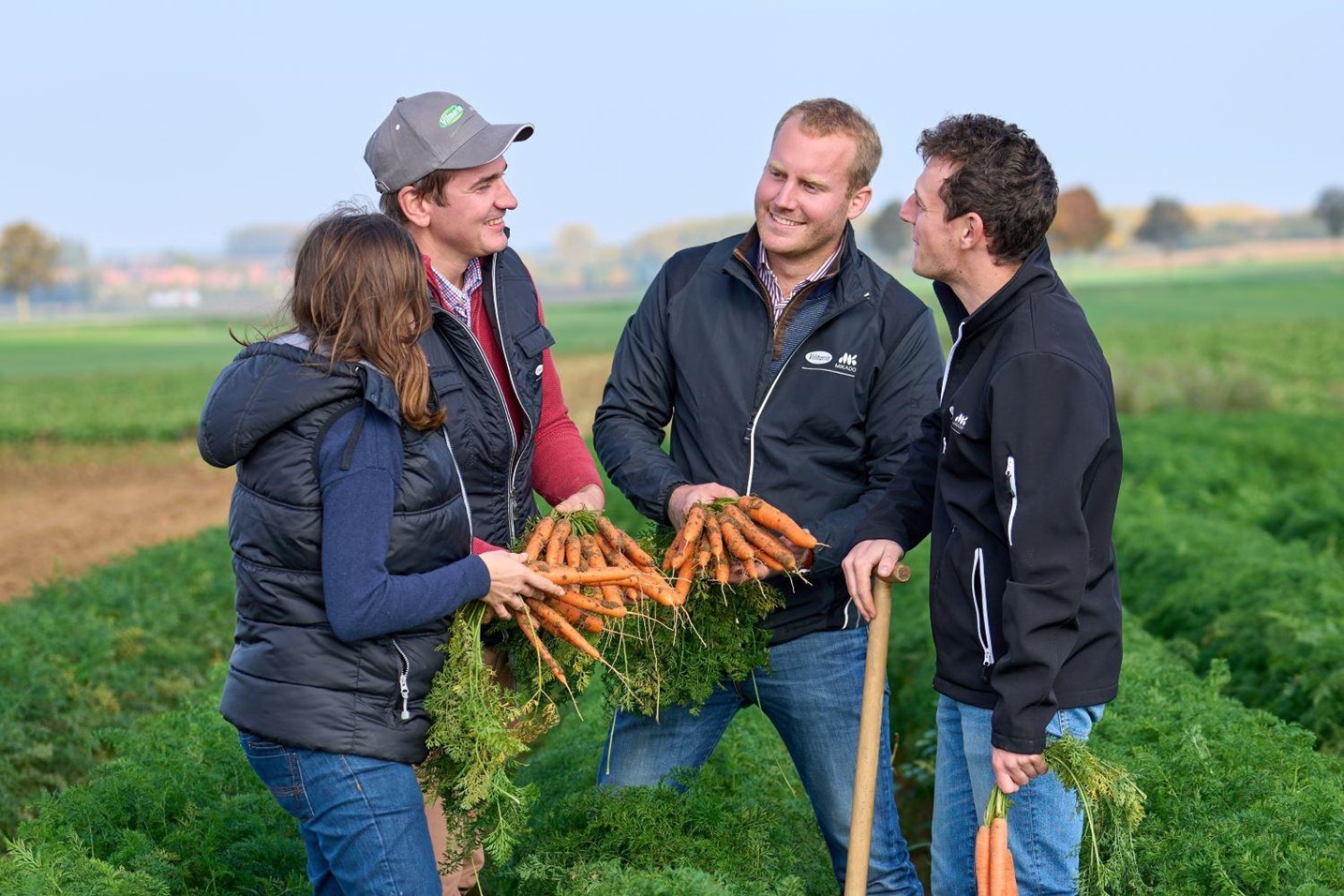 Expert Vilmorin-Mikado in the carrot Field