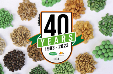 Vilmorin-Mikado 40 years in united states seed business