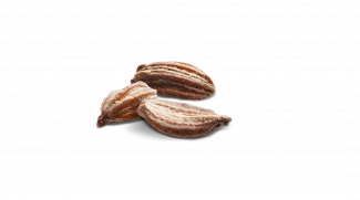 Seed carrot Coreo variety
