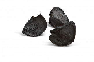 Seed