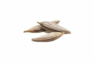 Lettuce Romaine Seed