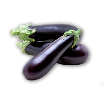 Eggplant