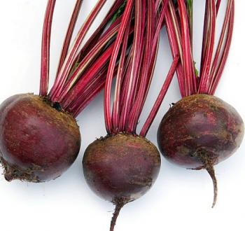 Beetroot