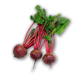 Beetroot