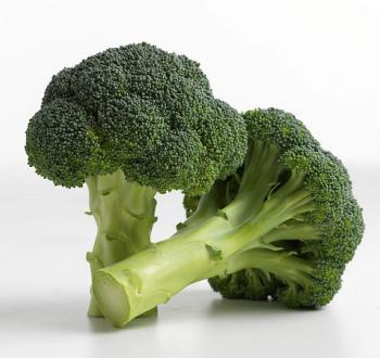 Broccoli