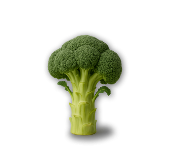 Broccoli