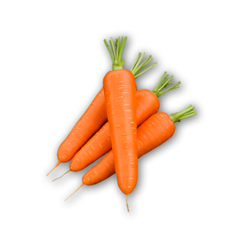 Carrot