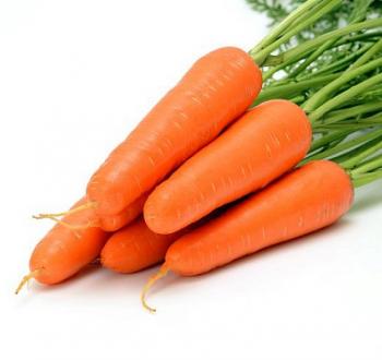 VilmorinMikado Carrot Specie 