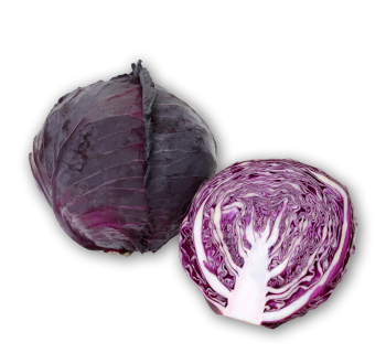Cabbage