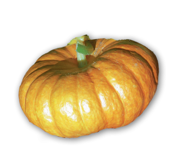 Pumpkin