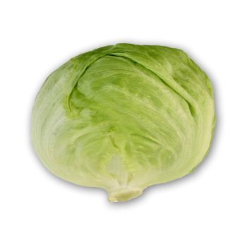 Lettuce Iceberg
