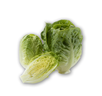 Lettuce Little Gem