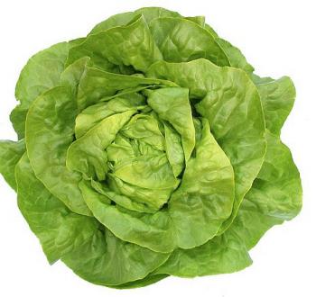 Lettuce Butter