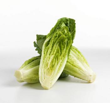 Lettuce Romaine