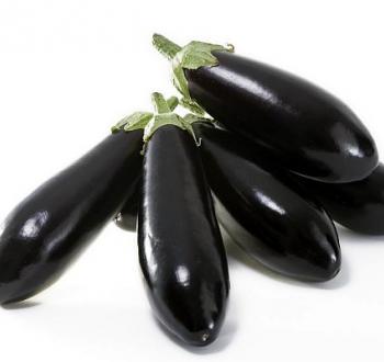 Eggplant Nigral 
