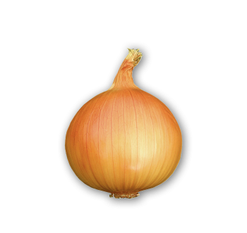 Onion