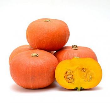 VilmorinMikado Pumpkin Specie 