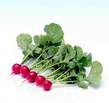 Radish