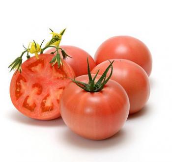 Tomato