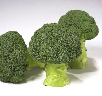 broccoli on white background