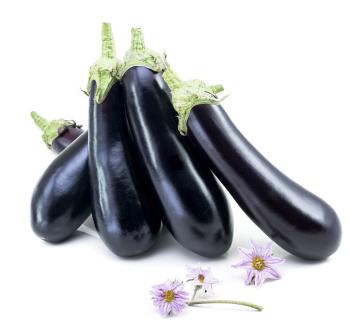 photo of eggplant with white background