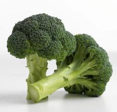 VilmorinMikado Brocoli Specie 