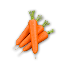 CARROT